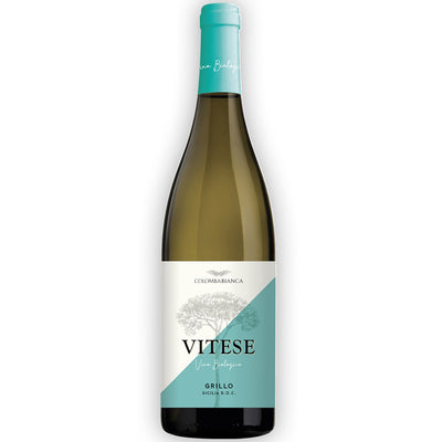 Colomba Bianca Grillo 'Vitese' Sicily